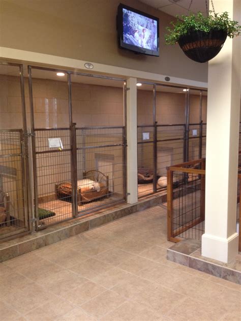 china dog kennels in my area